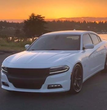 Small Carmines Charger